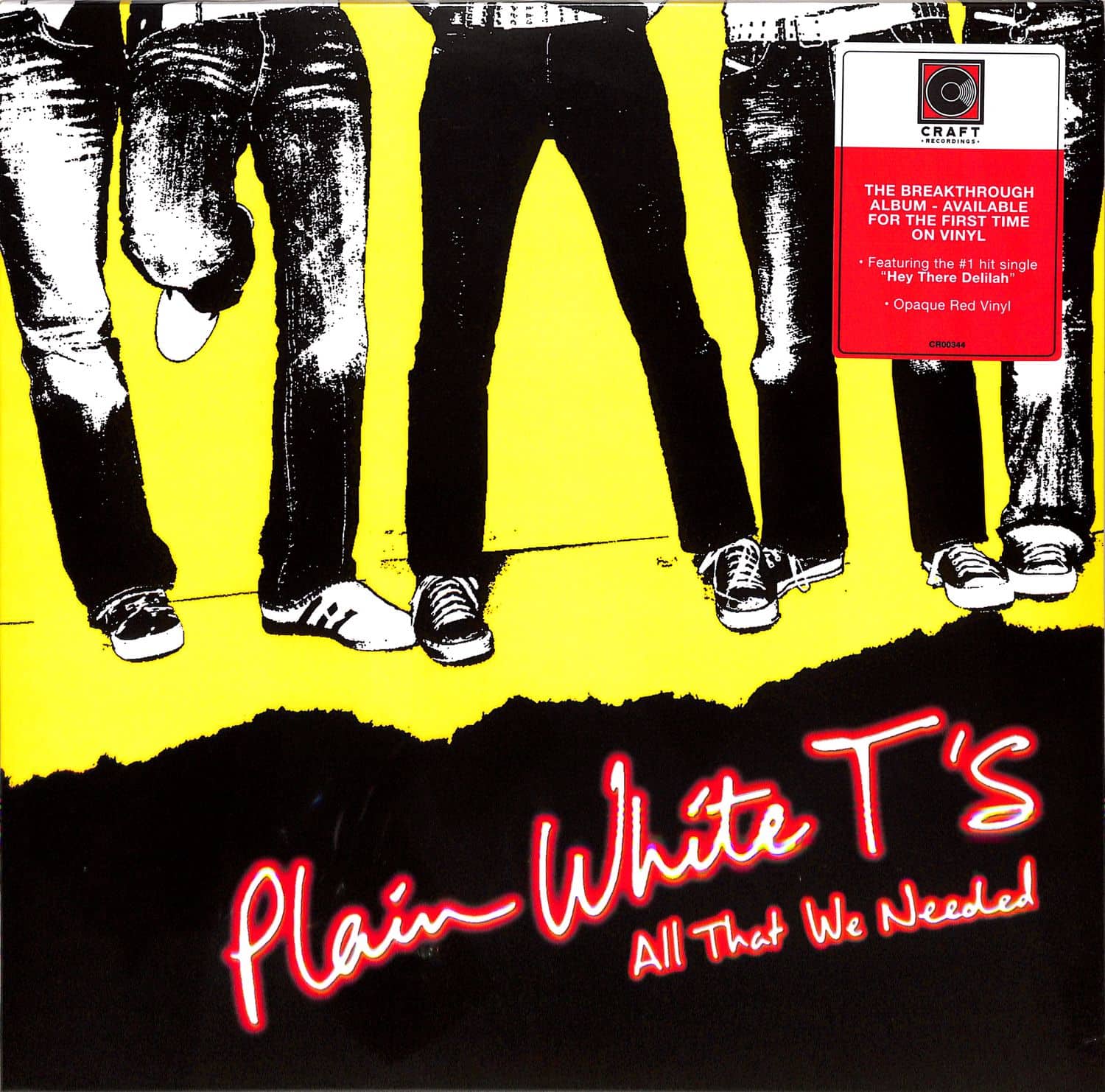Plain White Ts - ALL THAT WE NEEDED 