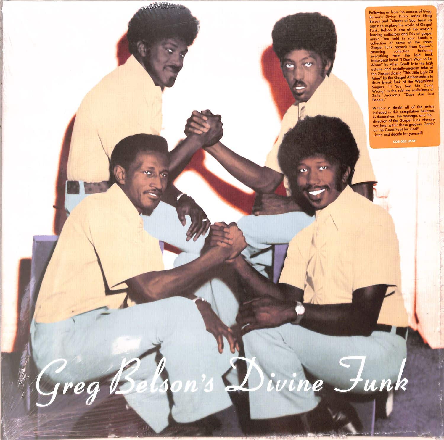 Various Artists - GREG BELSON S DIVINE FUNK 