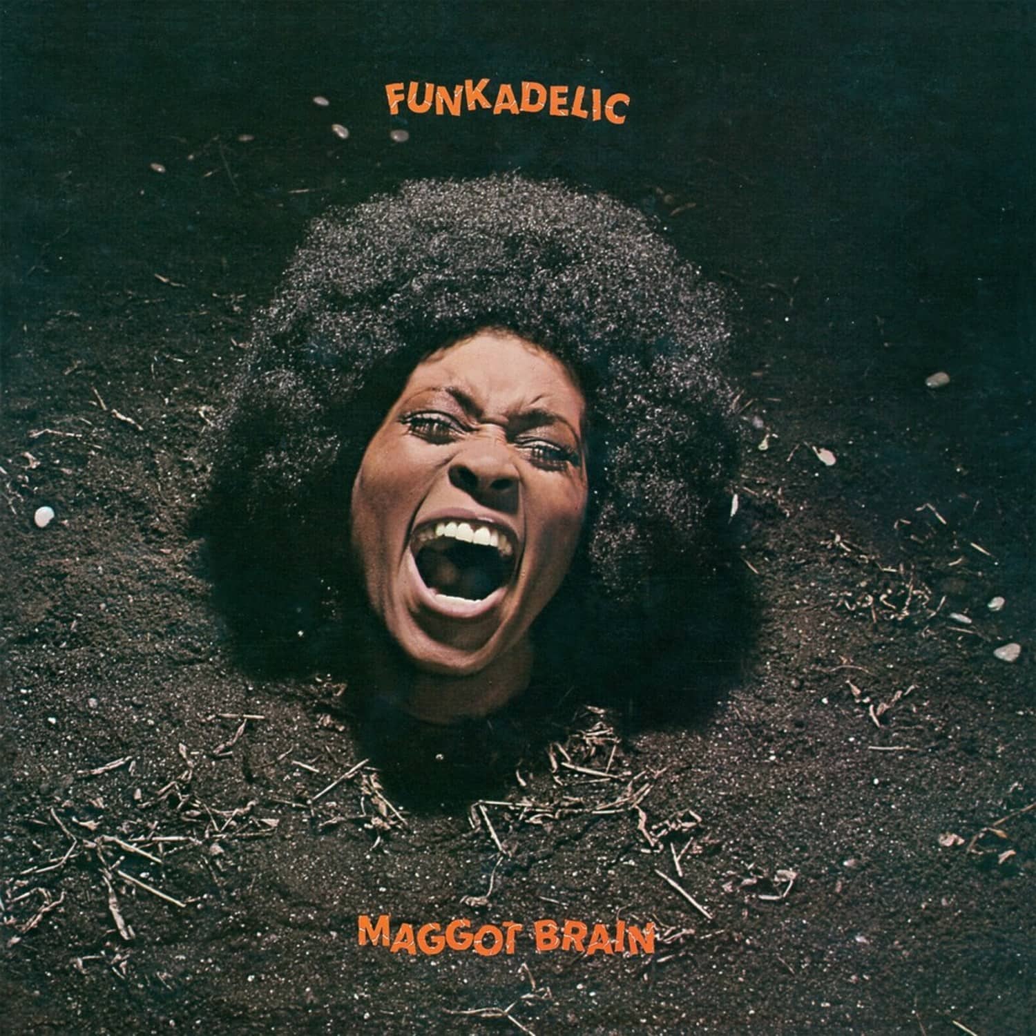 Funkadelic - MAGGOT BRAIN 