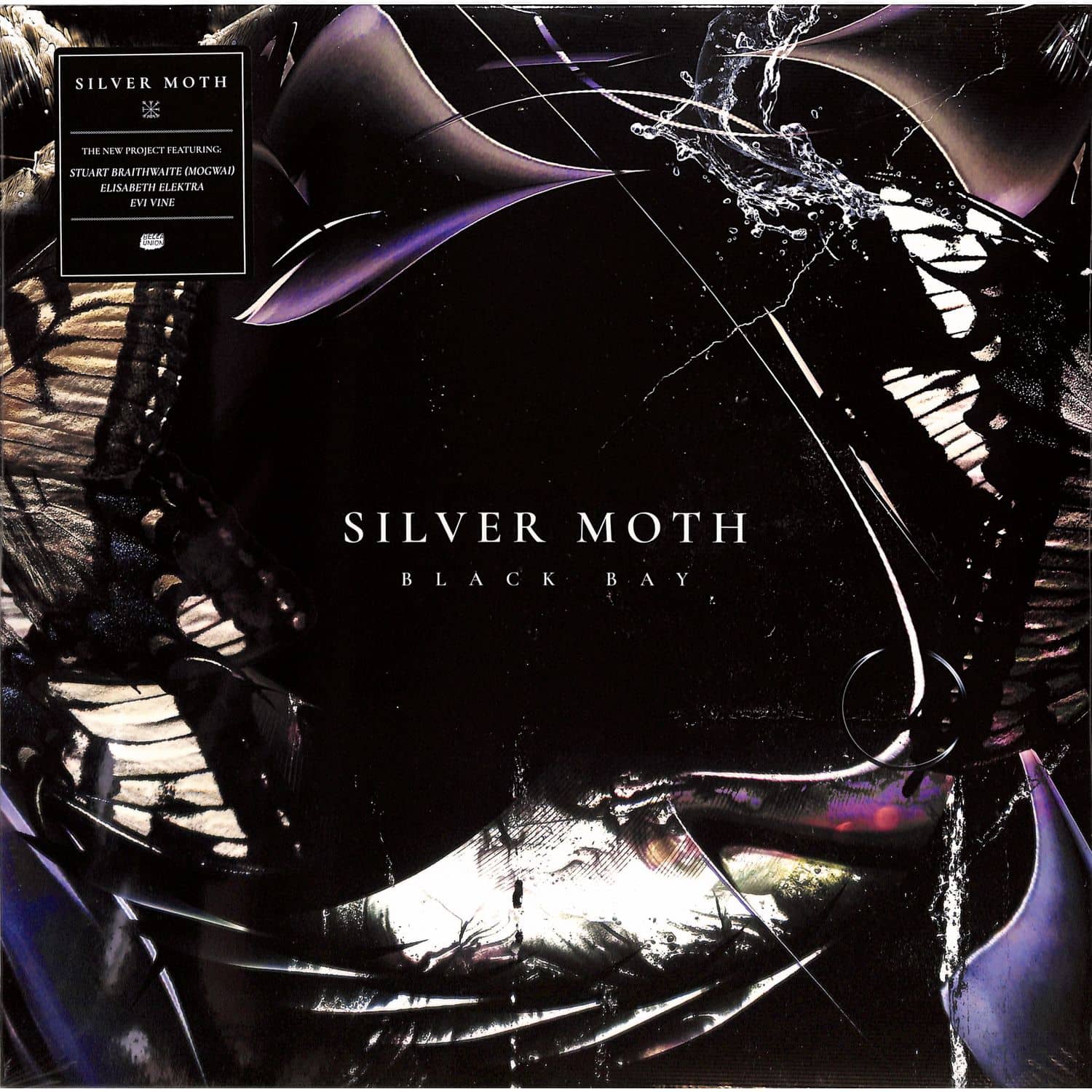Silver Moth - BLACK BAY 
