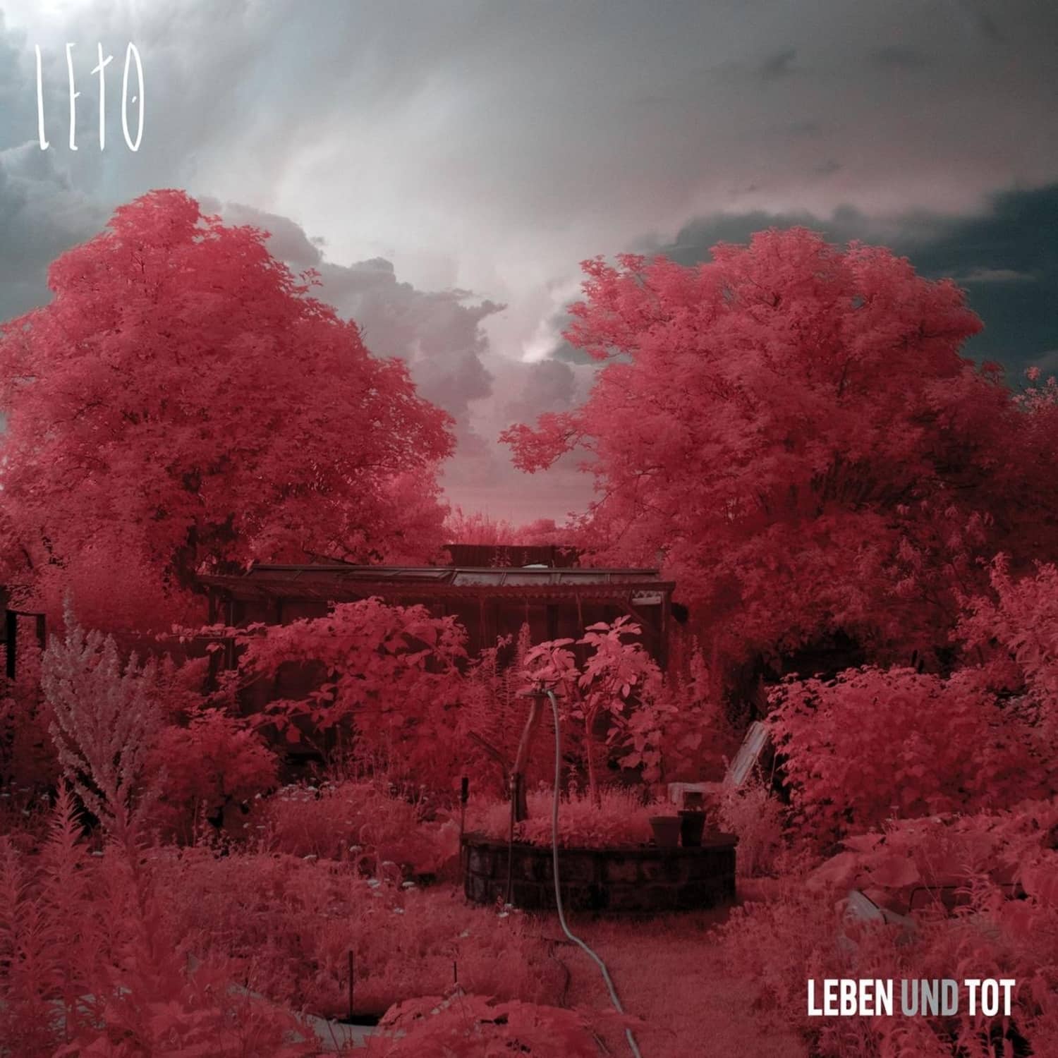 Leto - LEBEN UND TOT 