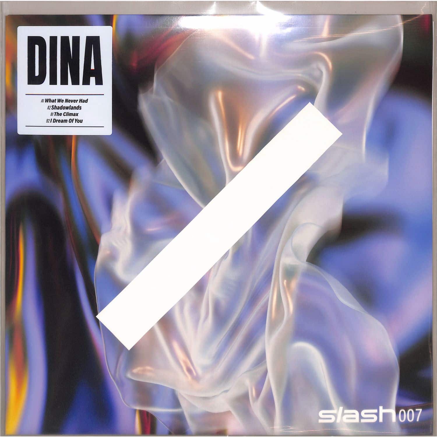 DINA - WHAT WE NEVER HAD PRINTED