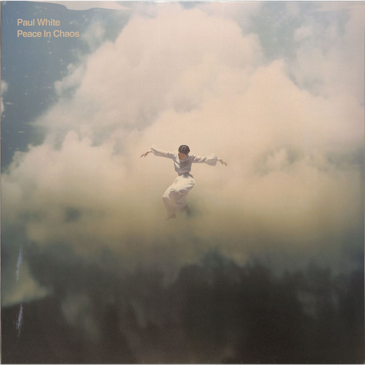 Paul White - PEACE IN CHAOS 