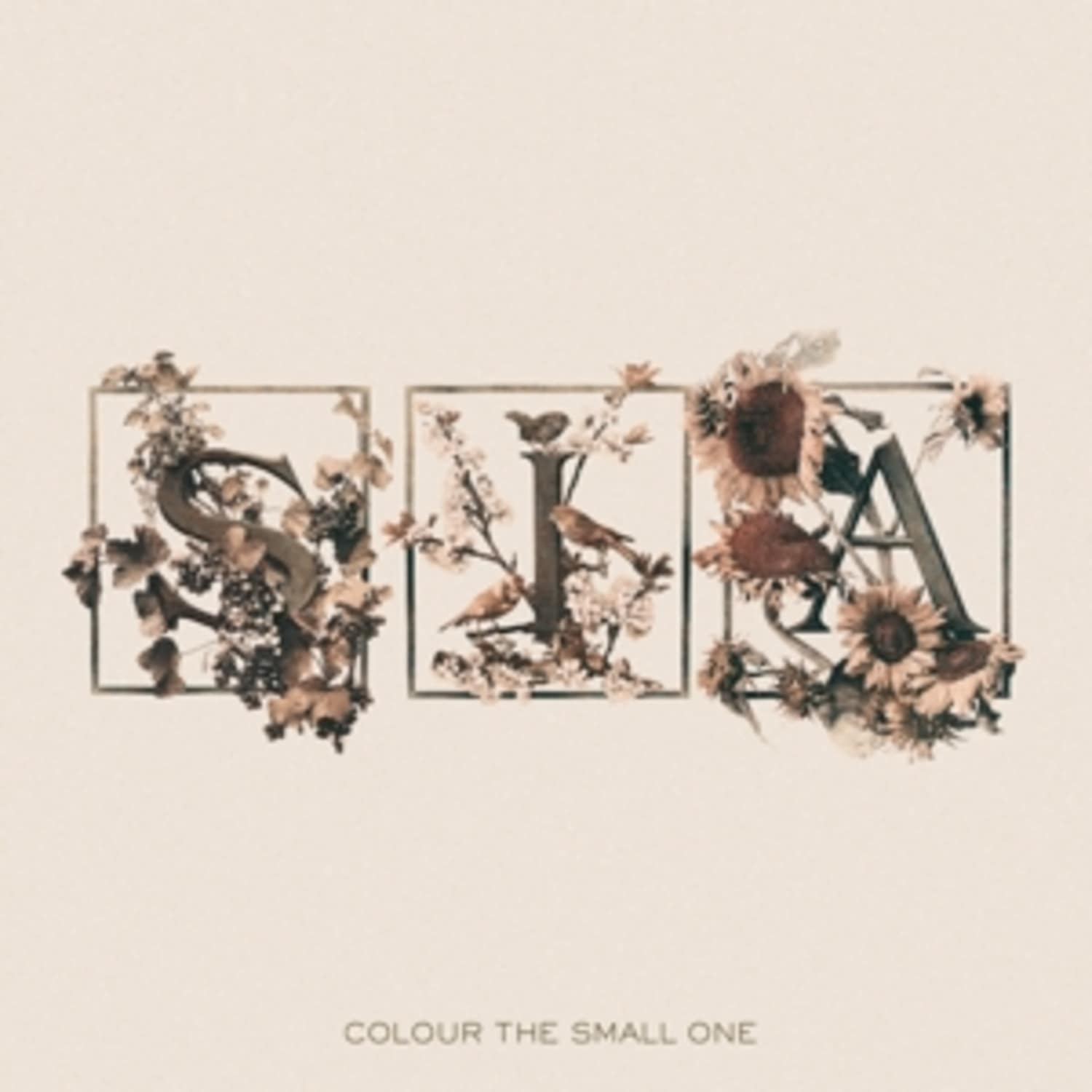 Sia - COLOUR THE SMALL ONE 