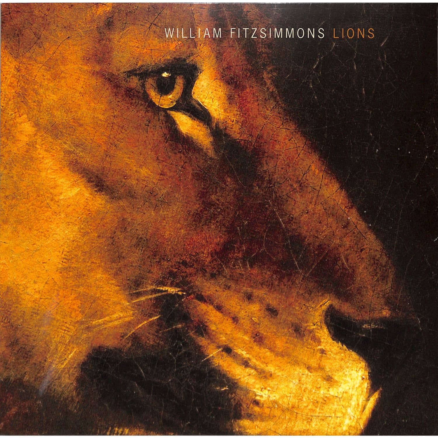 William Fitzsimmons - LIONS 