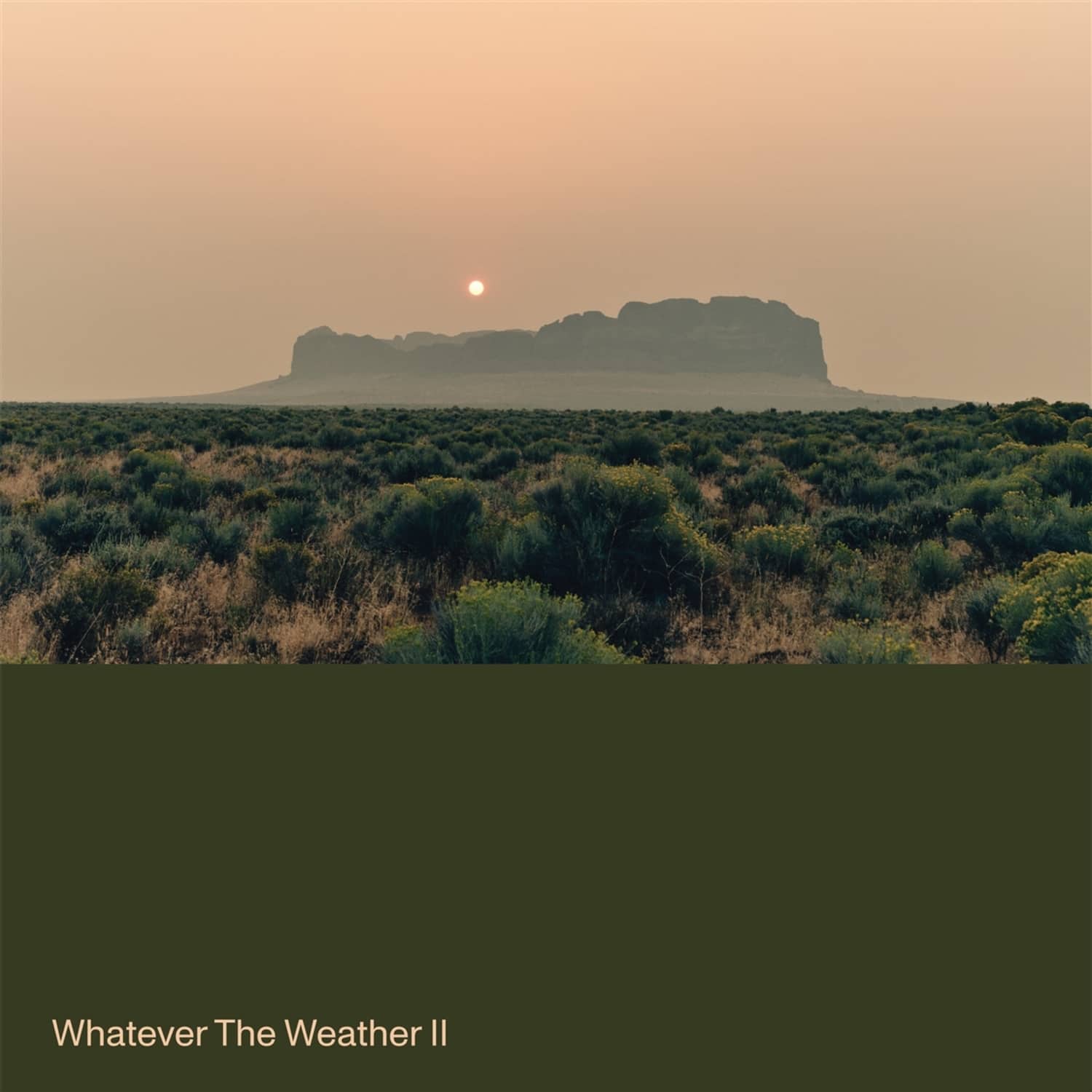 Whatever The Weather - WHATEVER THE WEATHER II 