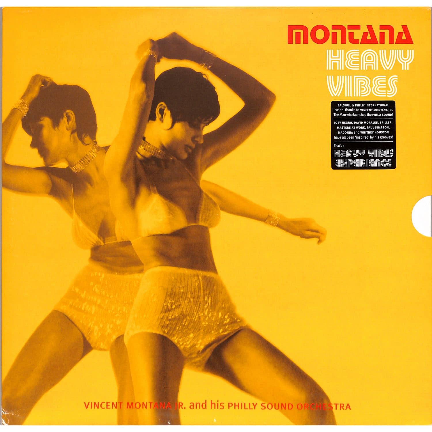 Montana - HEAVY VIBES 