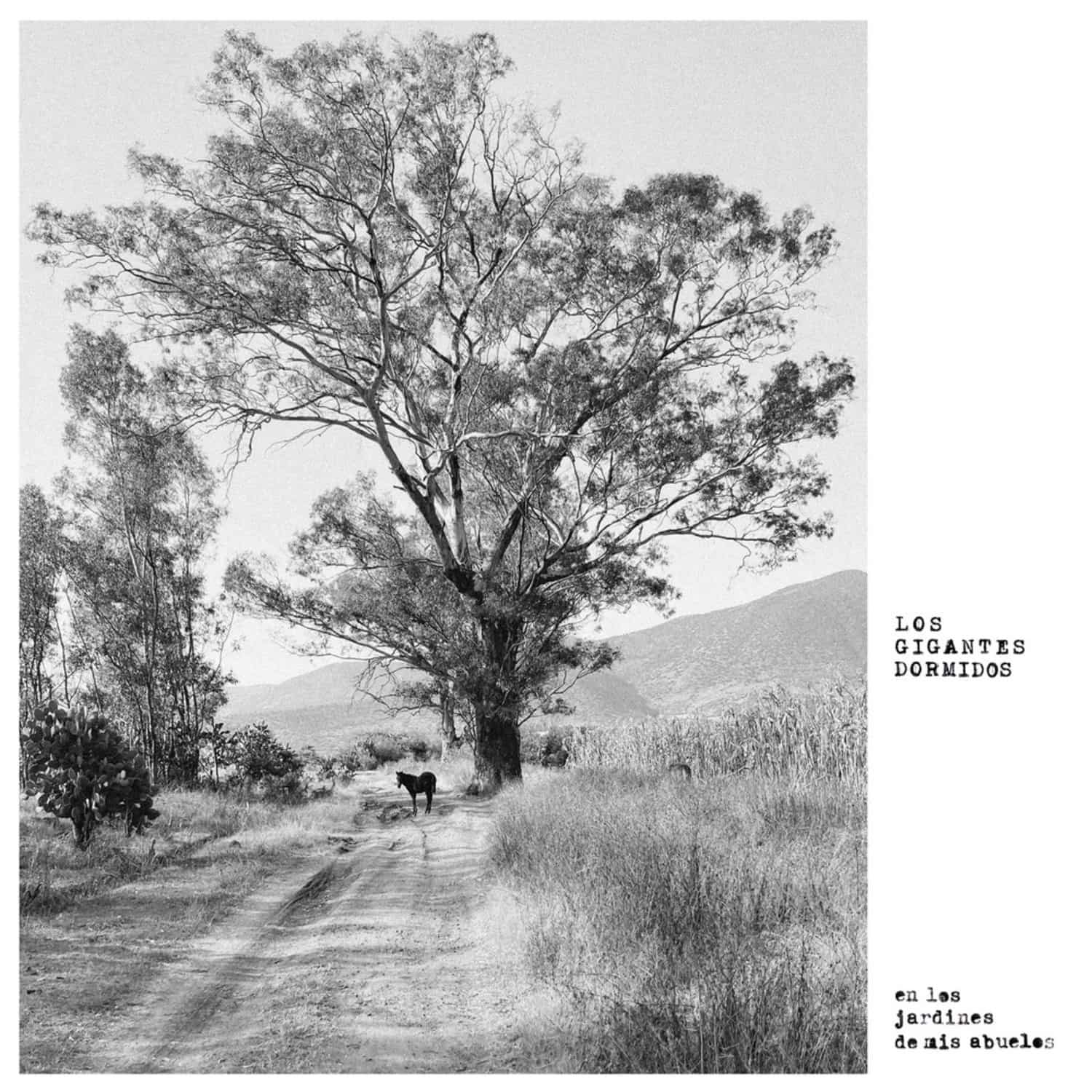 Los Gigantes Dormidos - LOS JARDINES DE MIS ABUELOS 
