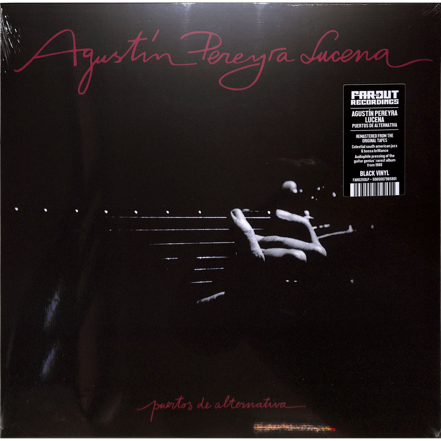 Agustin Pereyra Lucena - PUERTOS DE ALTERNATIVA 