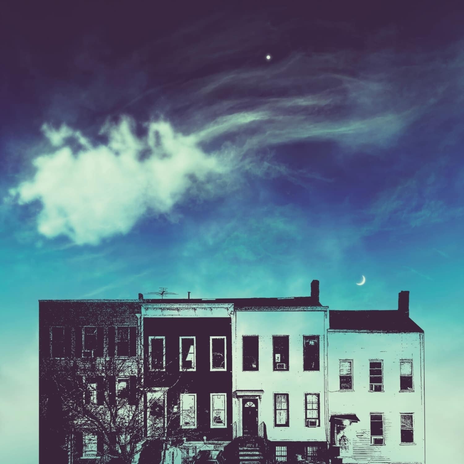 Kirk Knuffke - WINDOW 