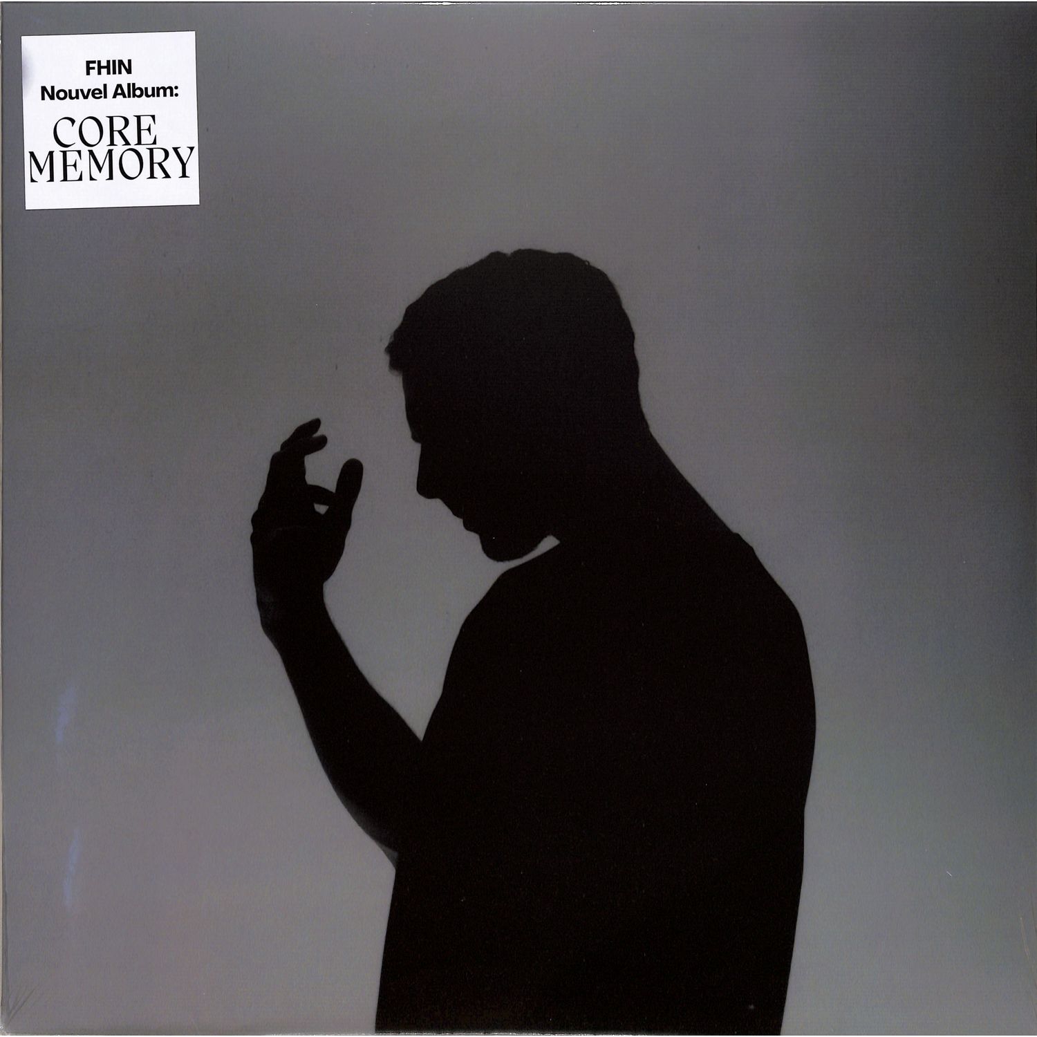 Fhin - CORE MEMORY