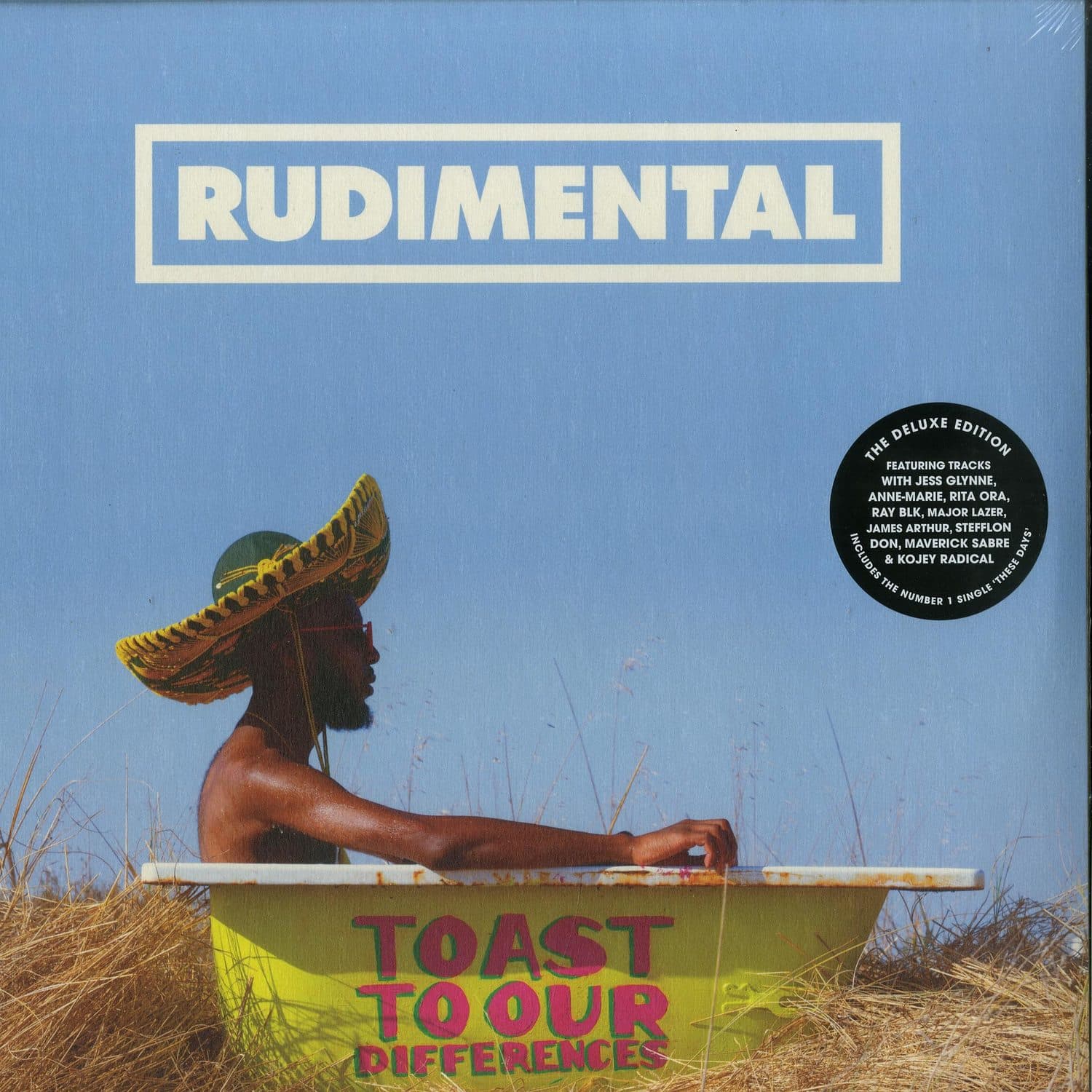 Rudimental - TOAST TO OUR DIFFERENCES 