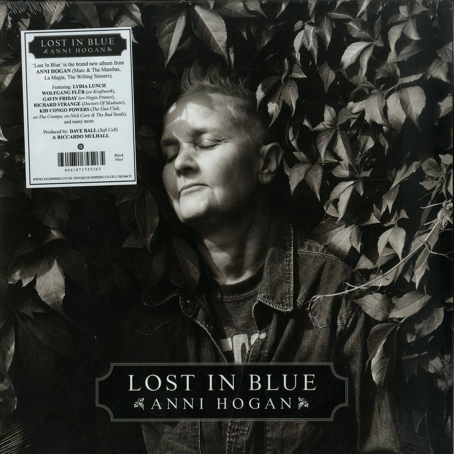 Anni Hogan - LOST IN BLUE 