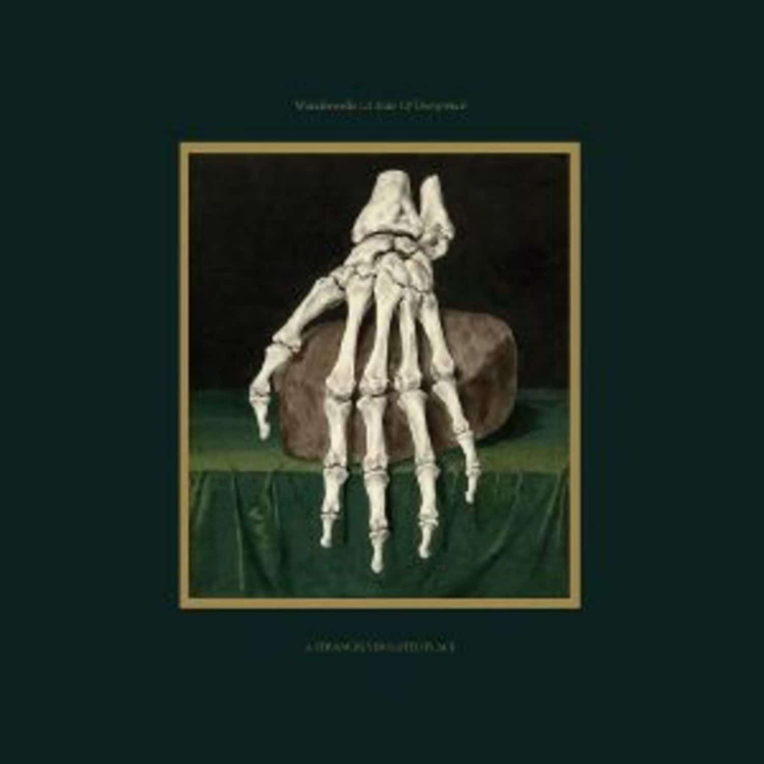Wanderwelle - A STATE OF DECREPITUDE 