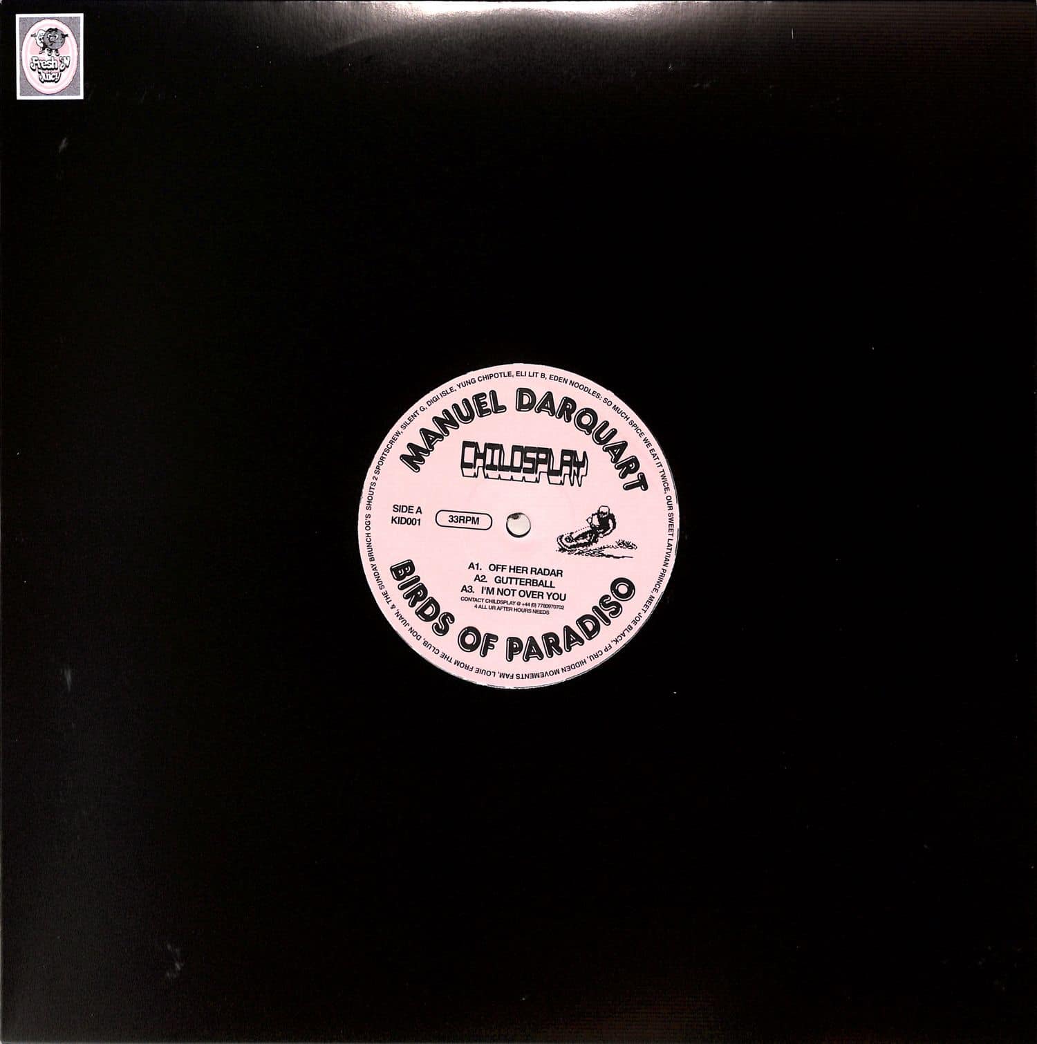 Manuel Darquart - BIRDS OF PARADISO 