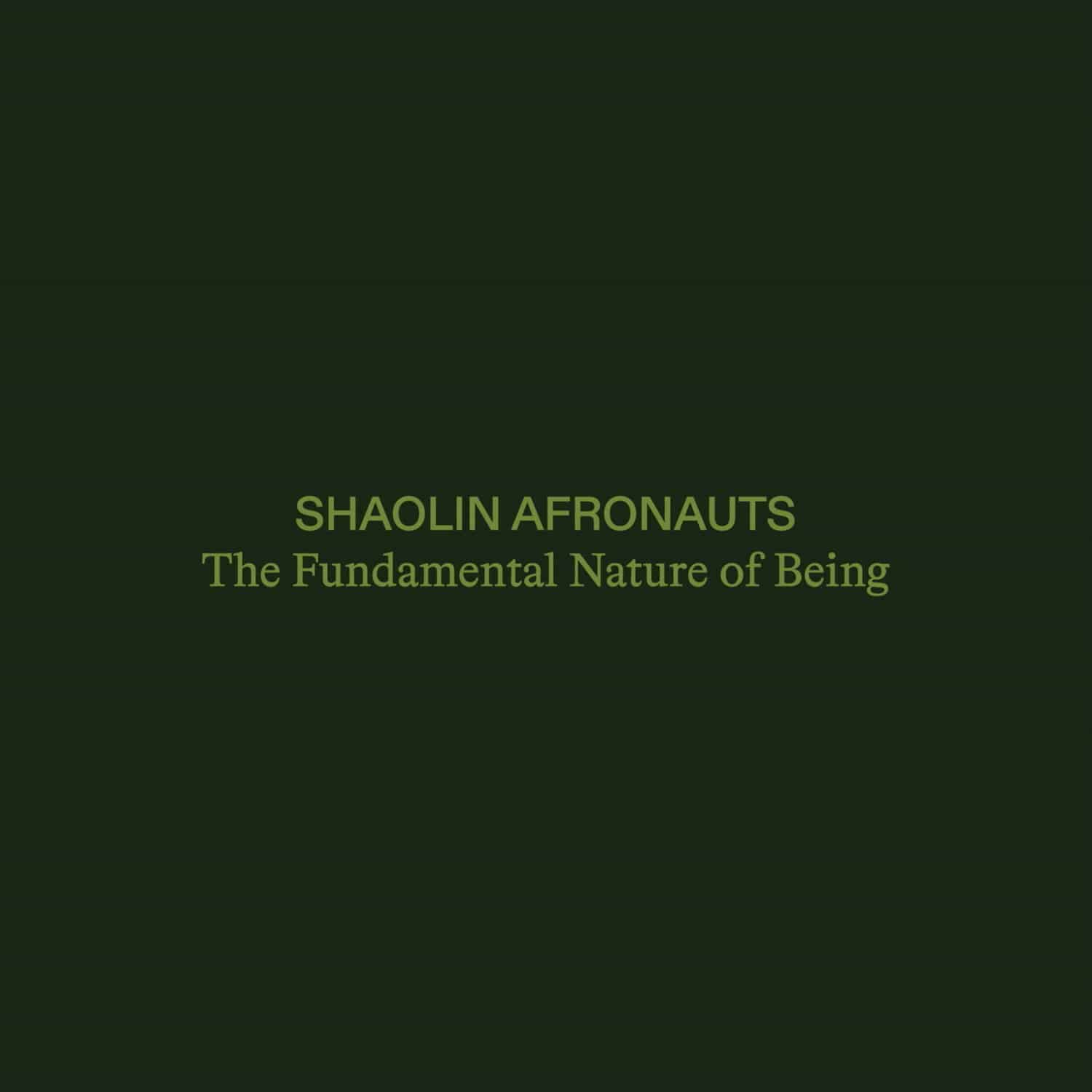 The Shaolin Afronauts - THE FUNDAMENTAL NATURE OF BEING 