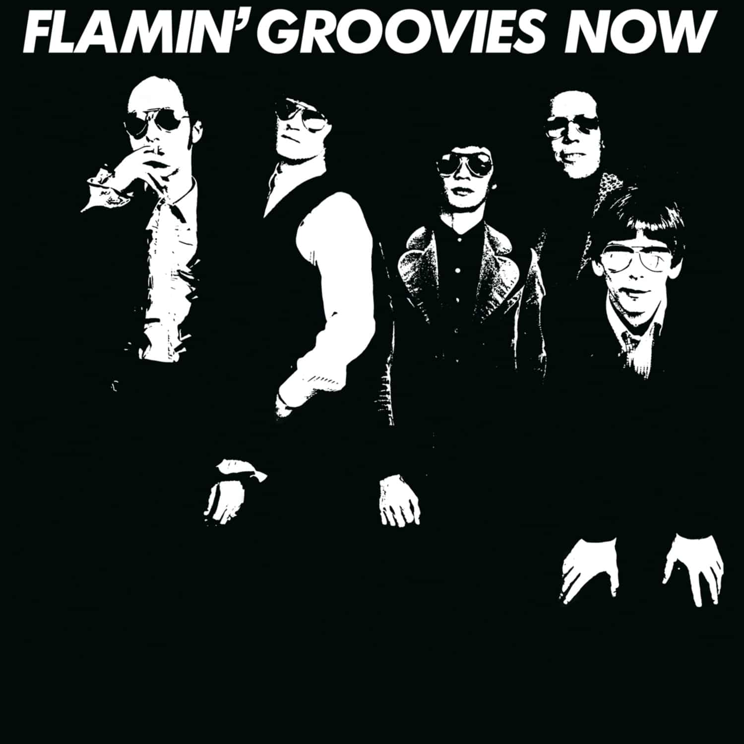 Flamin Groovies - NOW 