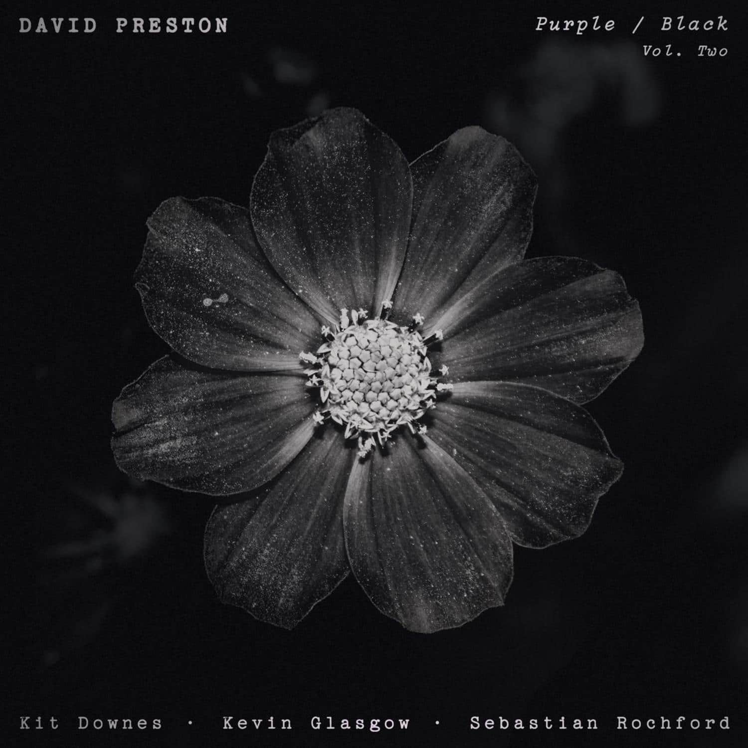 David Preston - PURPLE / BLACK VOL. 2 