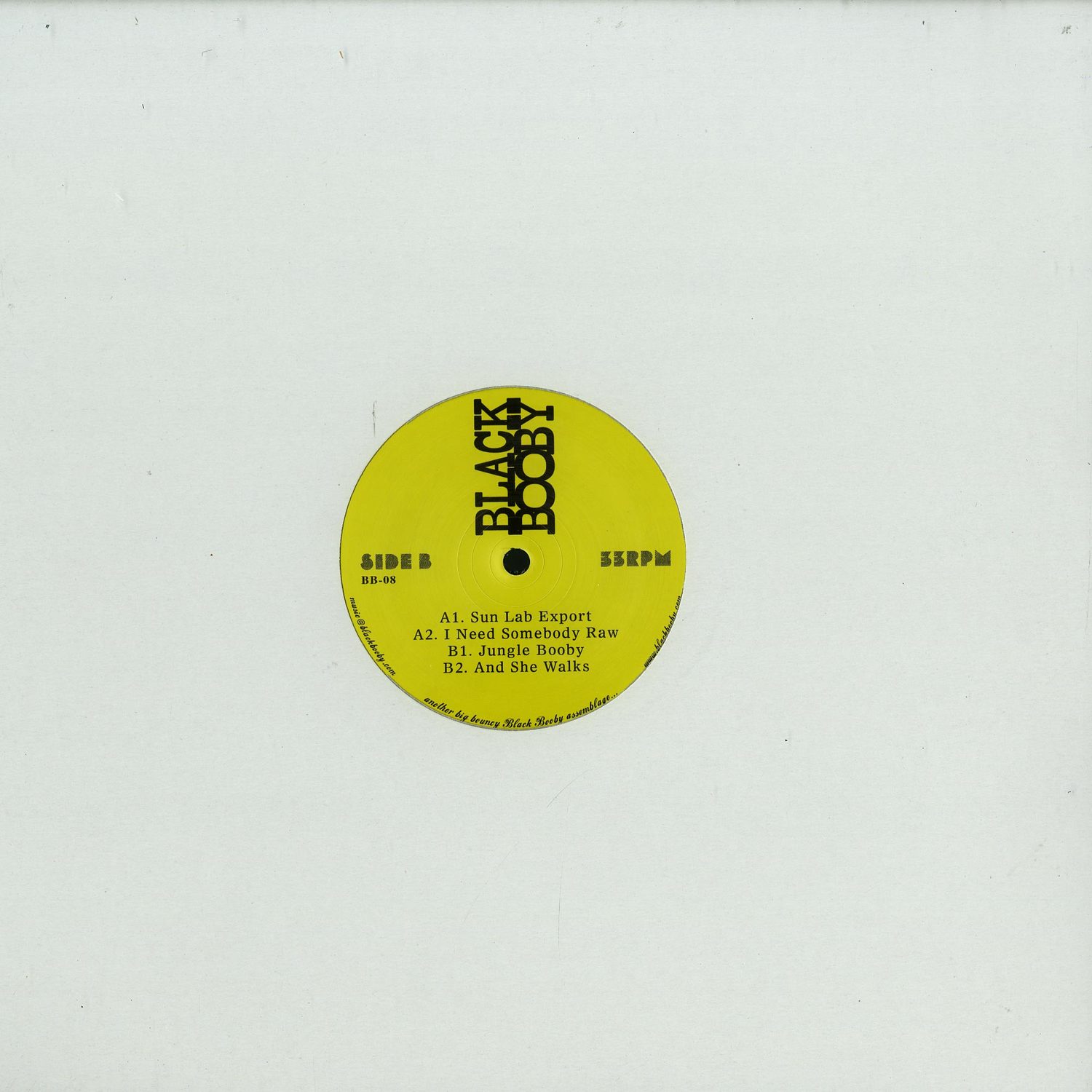 Black Booby - SUN LAB EXPORT