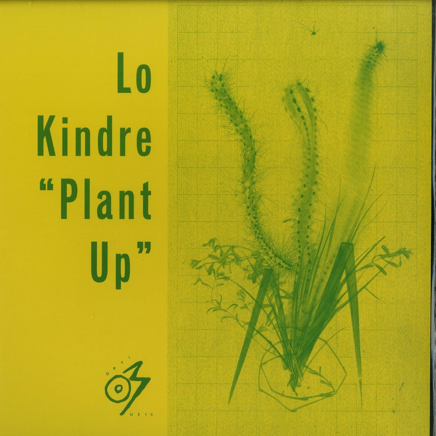 Lo Kindre - PLANT UP