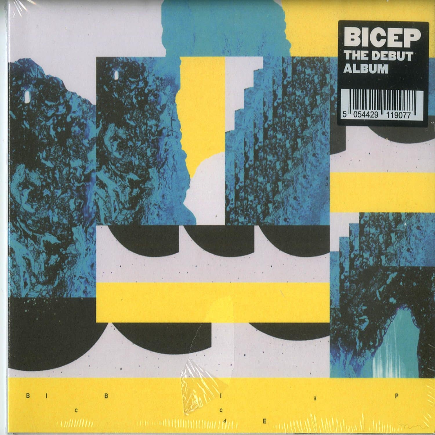 Bicep - BICEP 