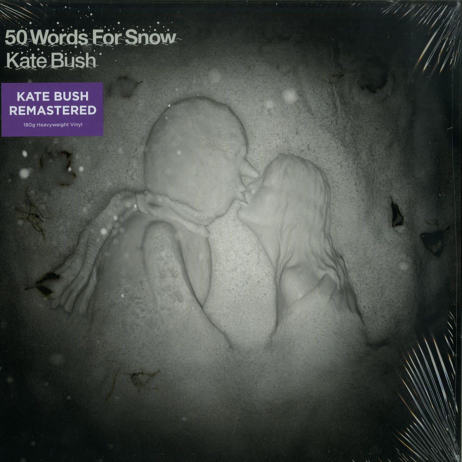 Kate Bush - 50 WORDS FOR SNOW 