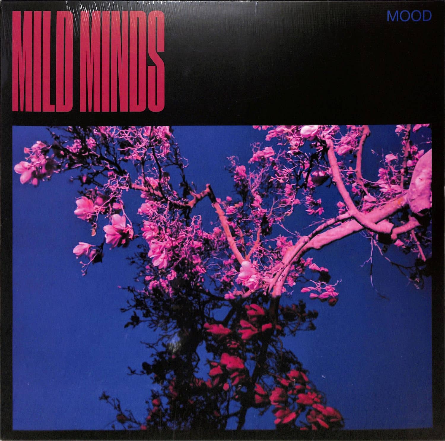 Mild Minds - MOOD 