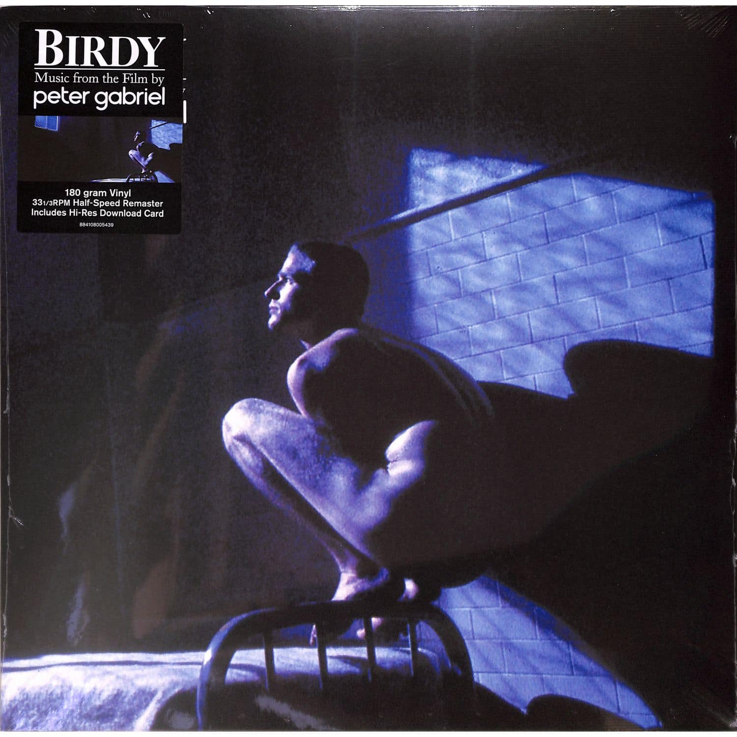 Peter Gabriel - BIRDY 