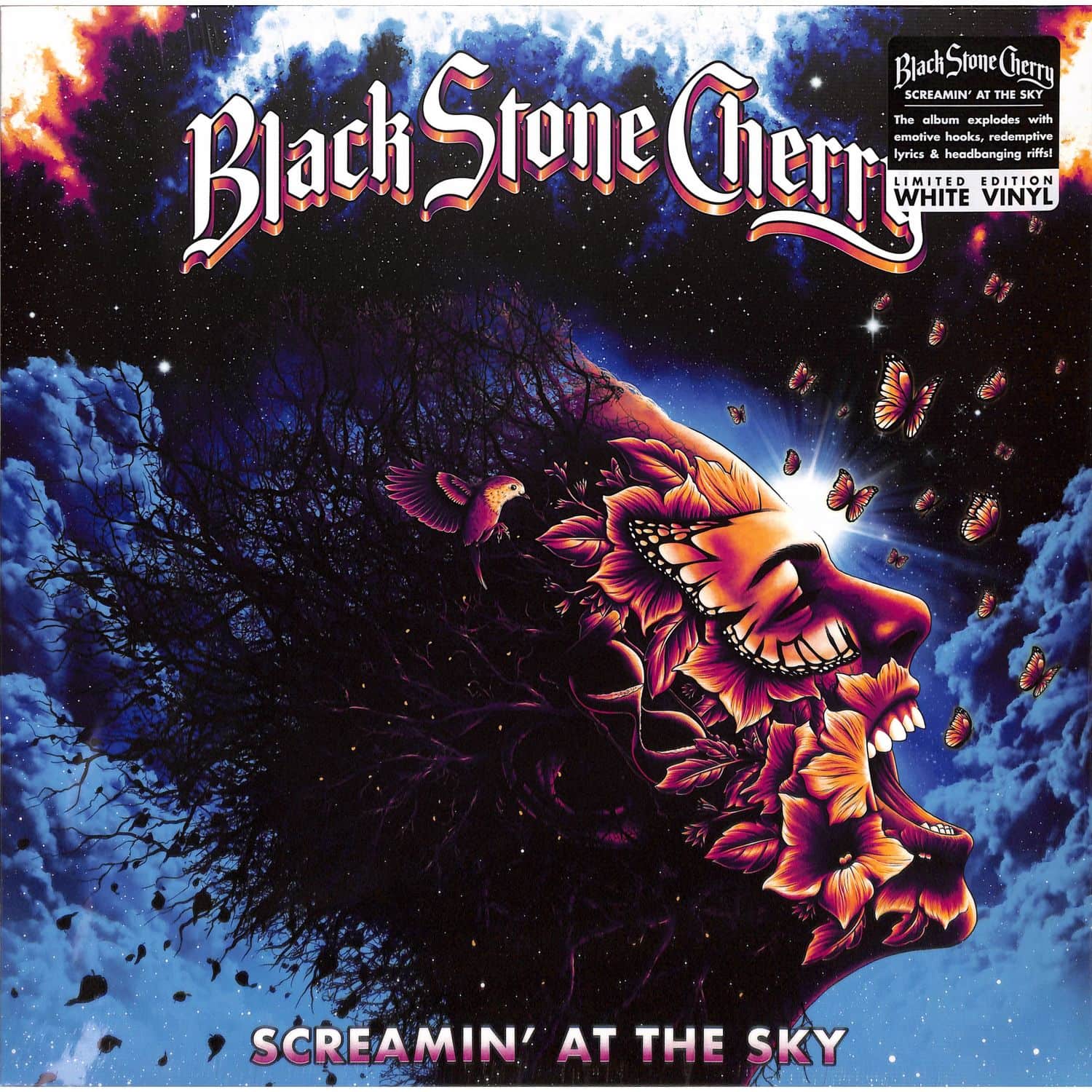 Black Stone Cherry - SCREAMIN AT THE SKY 