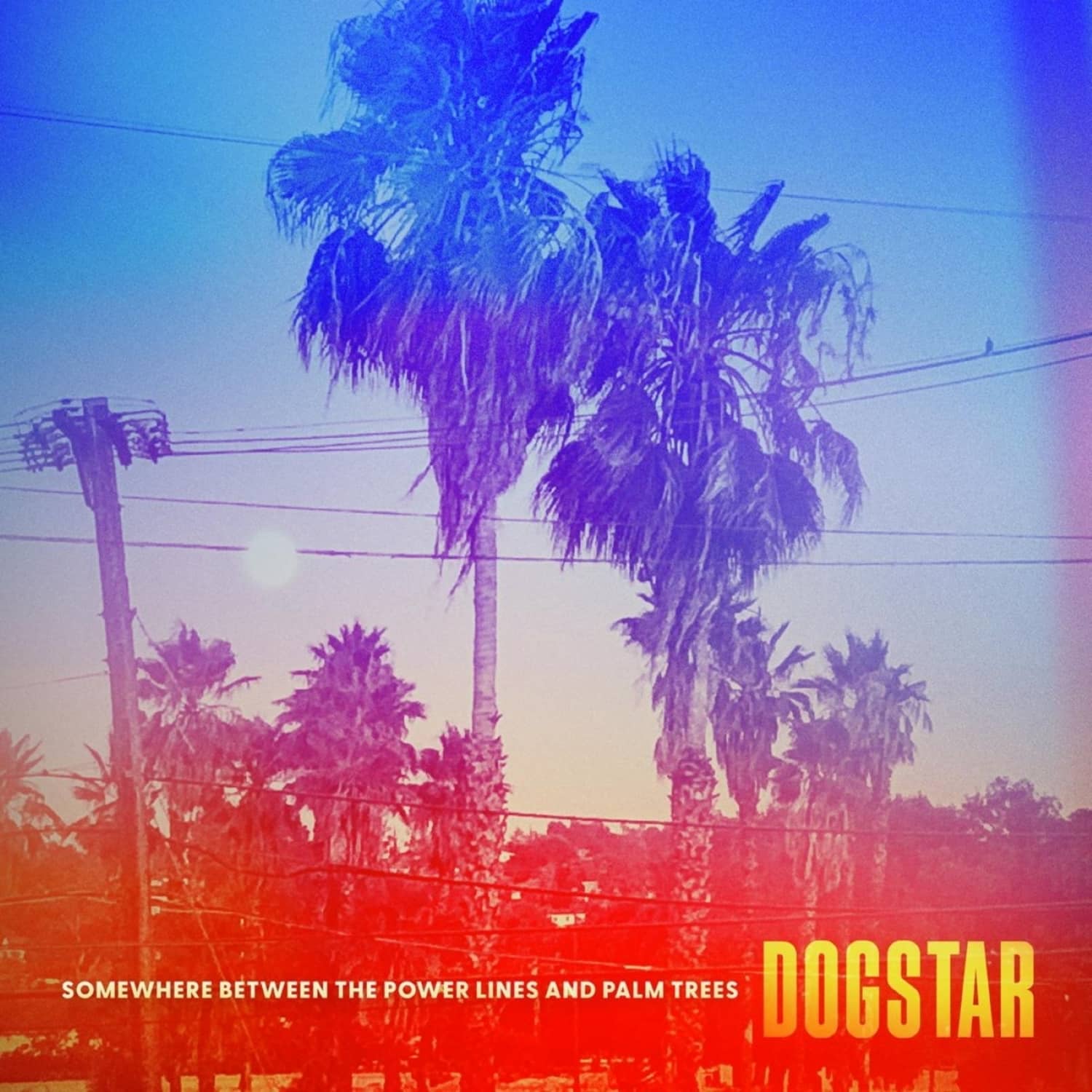 Dogstar - SOMEWHERE BETWEEN THE POWER LINES AND PALM TREES 
