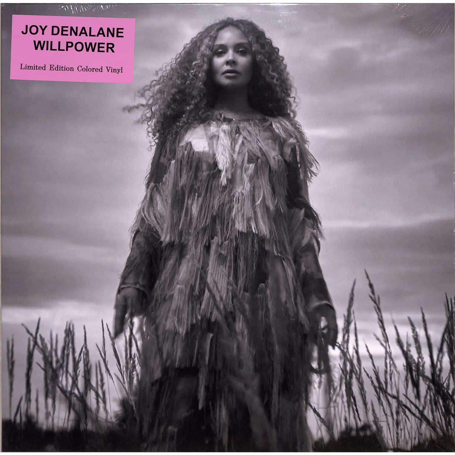 Joy Denalane - WILLPOWER 