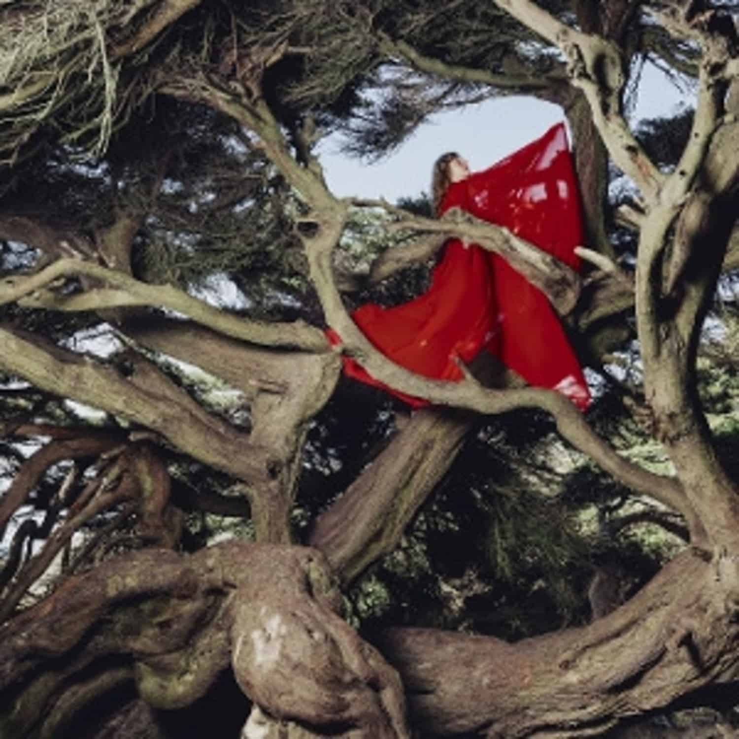 Hannah Frances - NESTED IN TANGLES 
