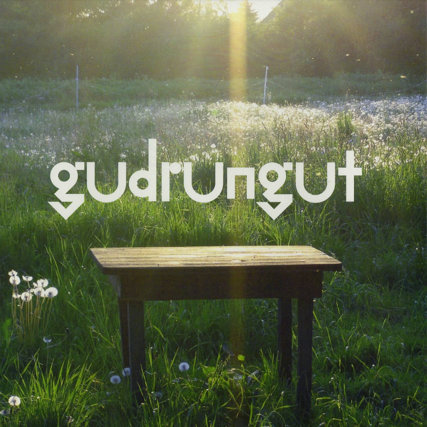 Gudrun Gut - BEST GARDEN EP