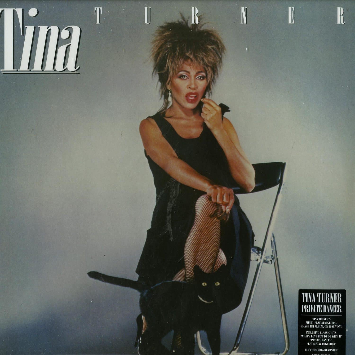 Tina Turner - PRIVATE DANCER 