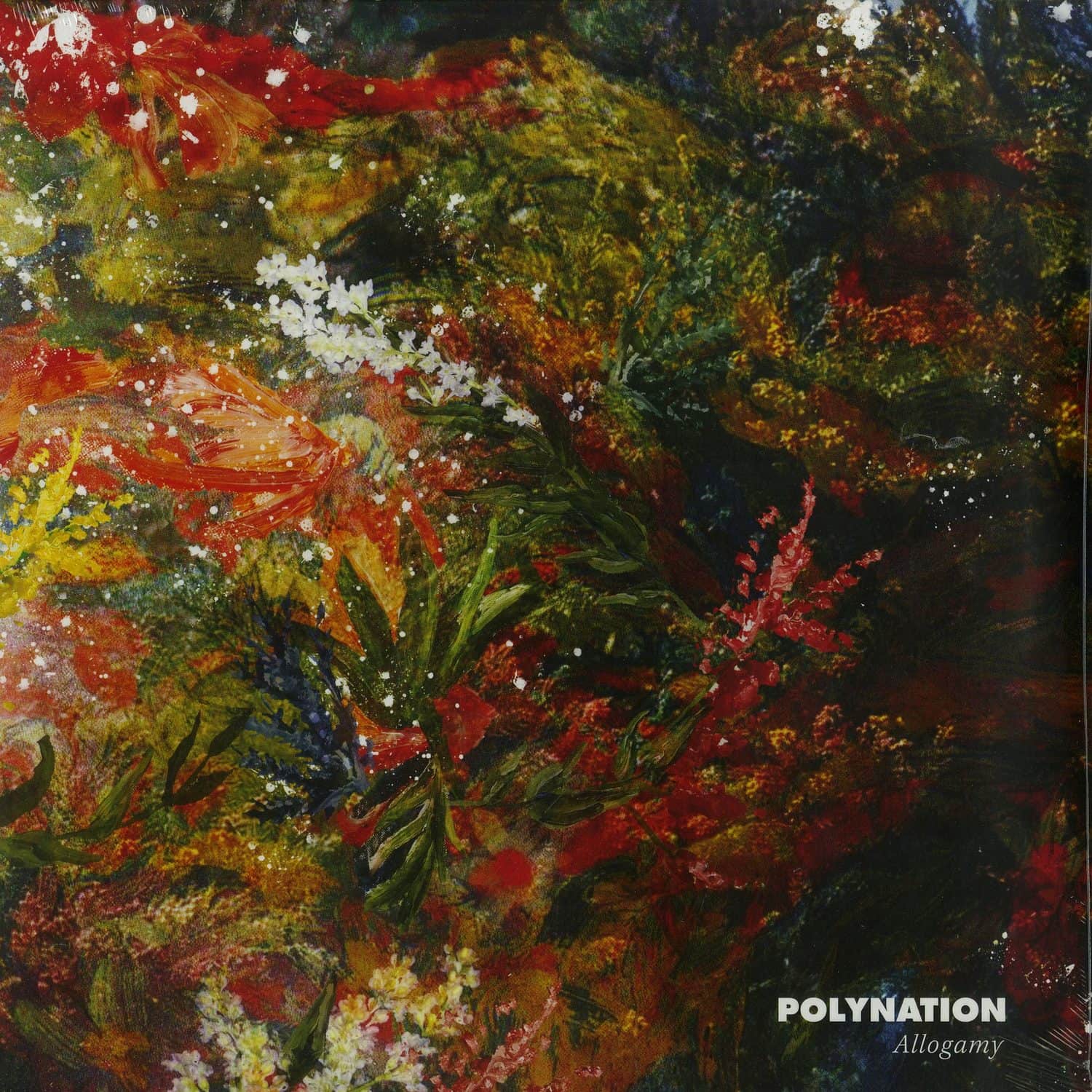 Polynation - ALLOGAMY