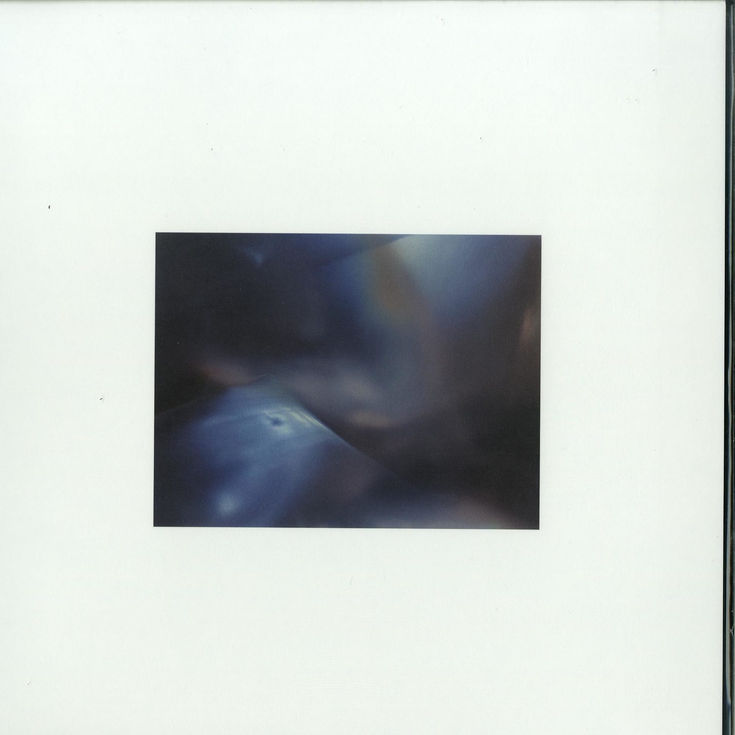 W.I.R.E. - RAPID EYE MOVEMENT