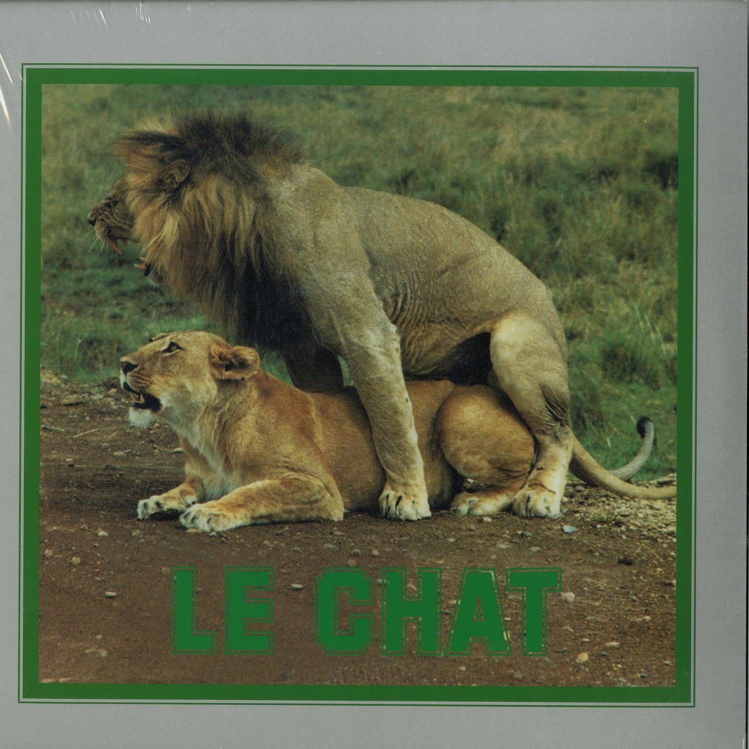 Le Chat - PUSSYCAT