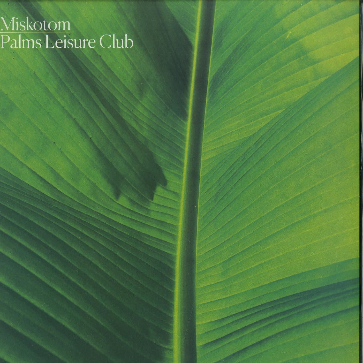 Miskotom - PALMS RESORT