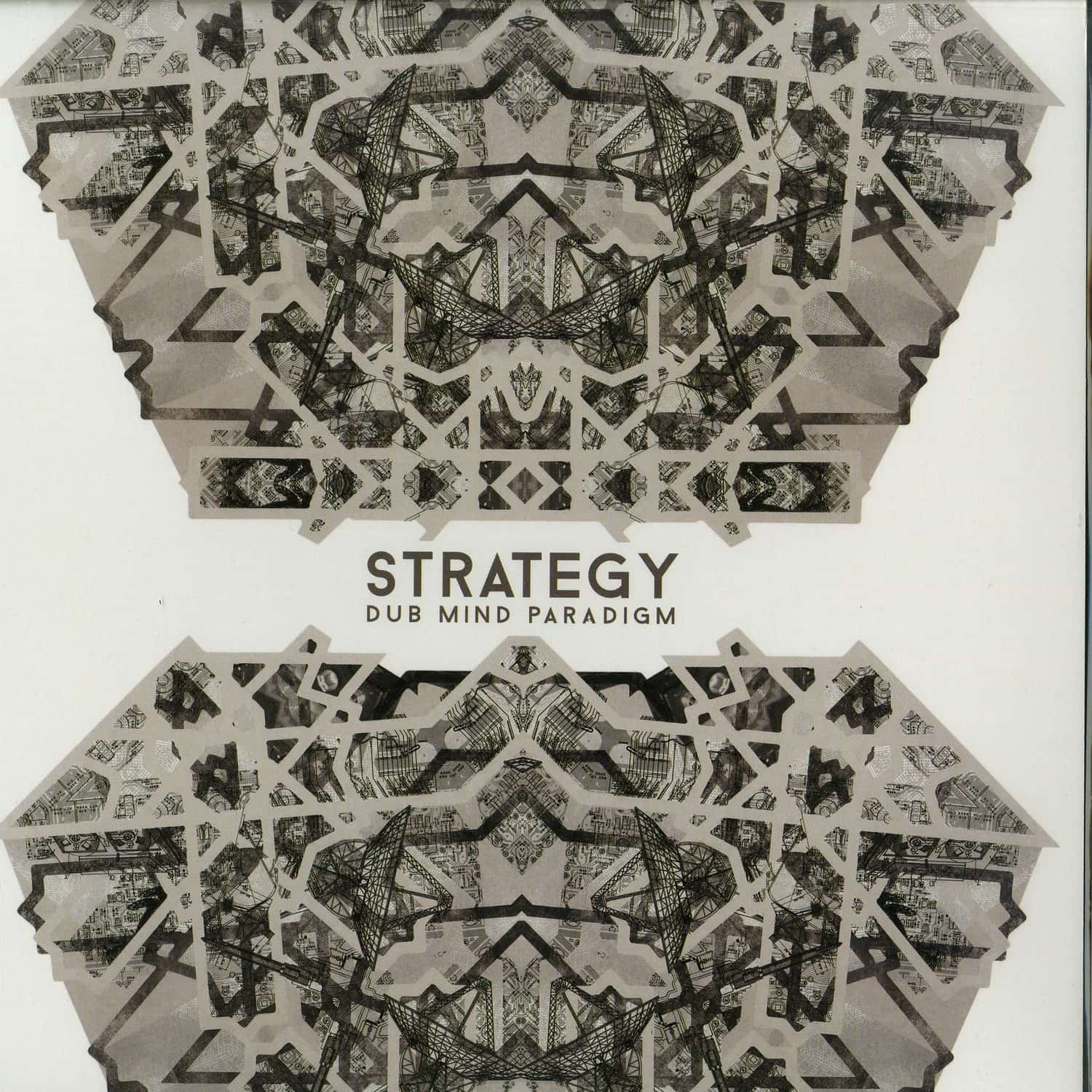 Strategy - DUB MIND PARADIGM LP