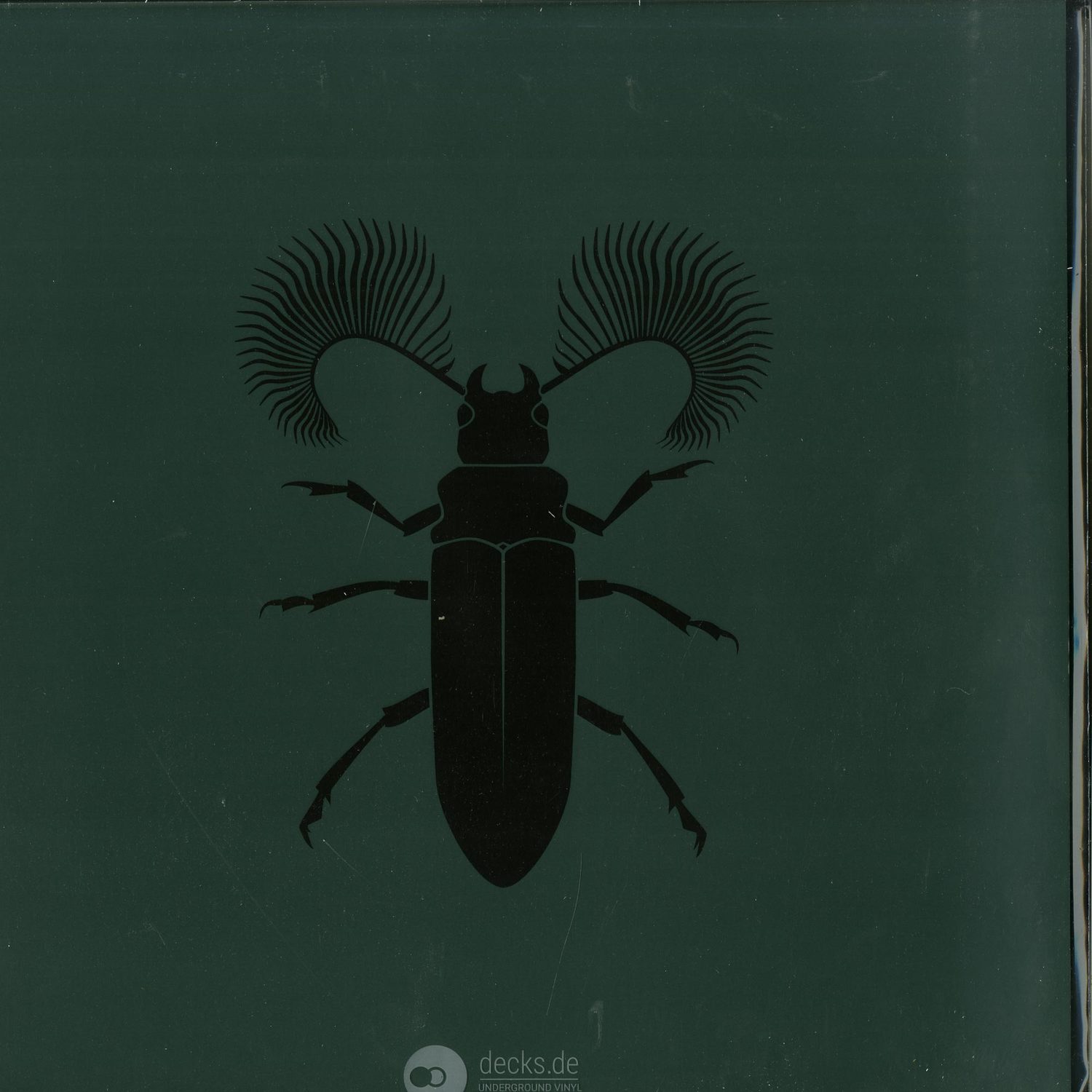 Pozek - FEATHERHORNED BEETLE EP