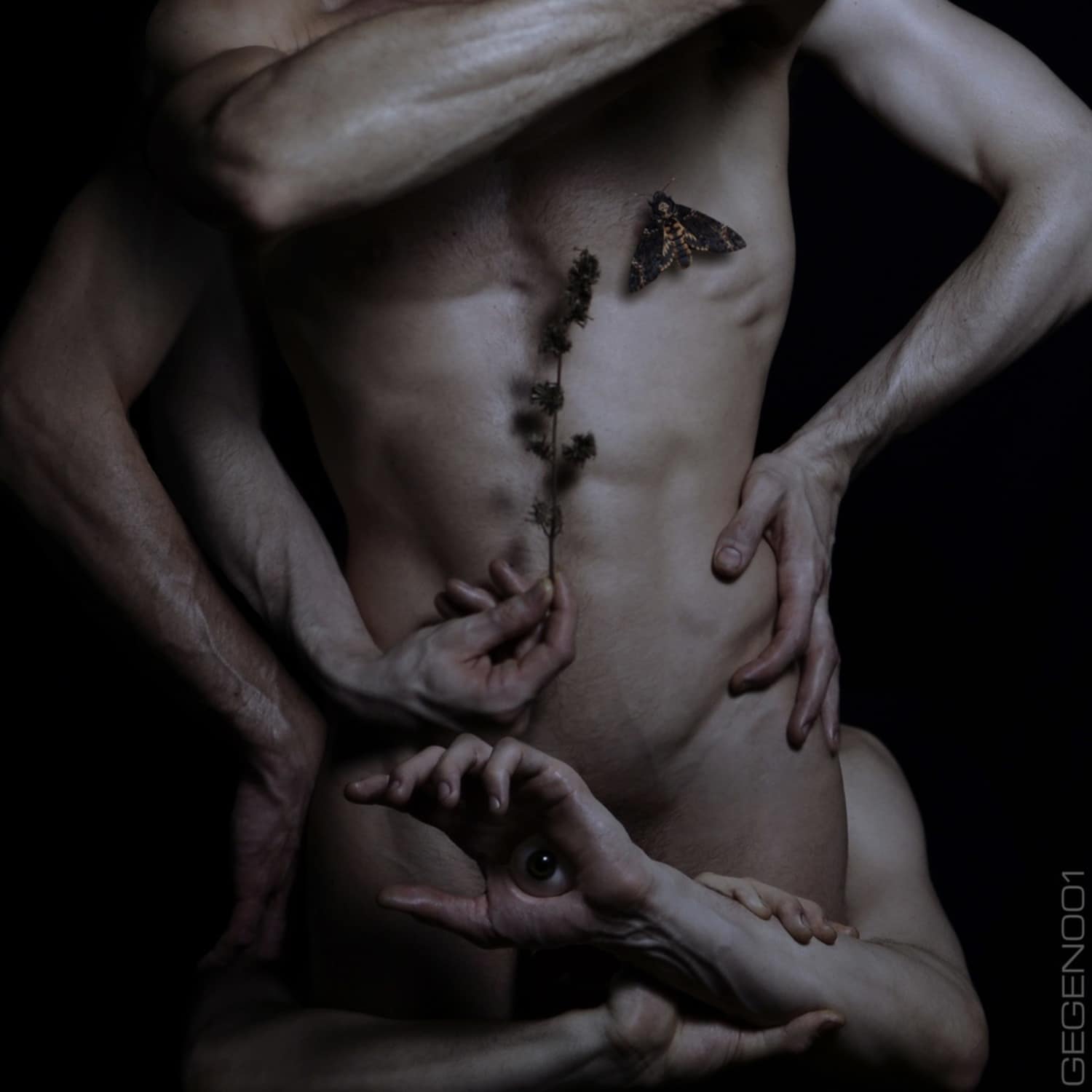Esther Duijn, Scalameriya, Ayarcana, LAVSN - GEGEN001 