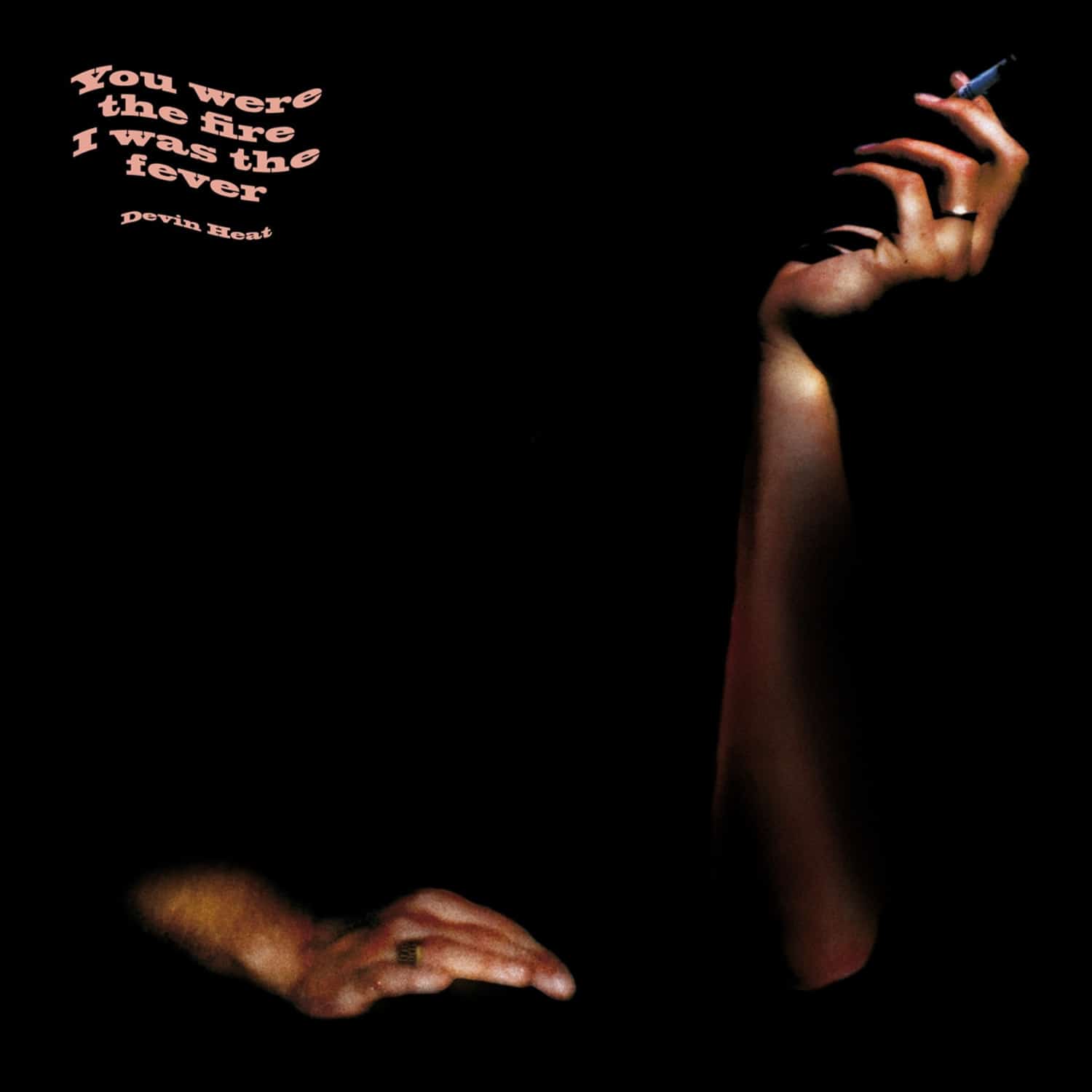 Devin Heat - YOU WERE THE FIRE I WAS THE FEVER 