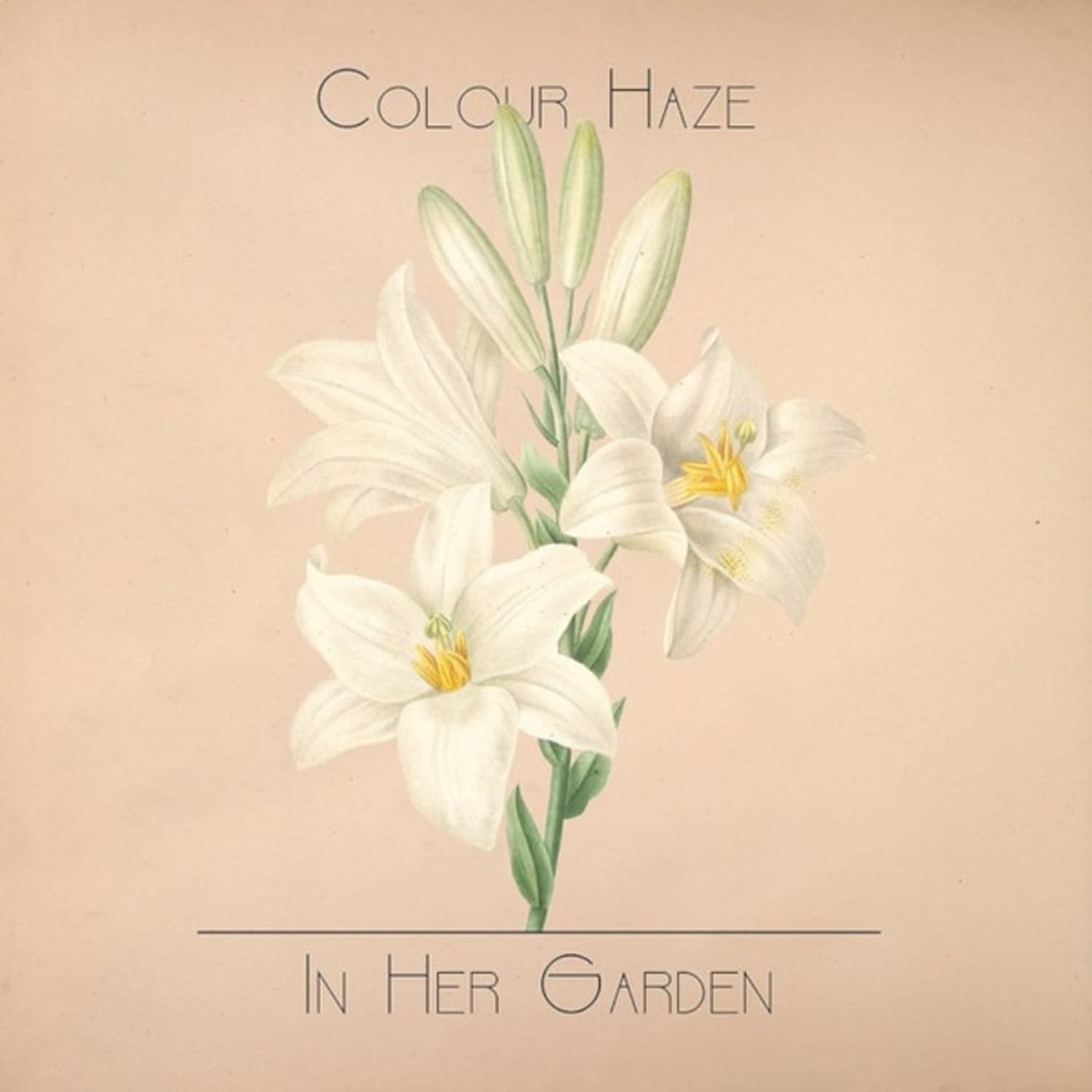 Colour Haze - IN HER GARDEN 