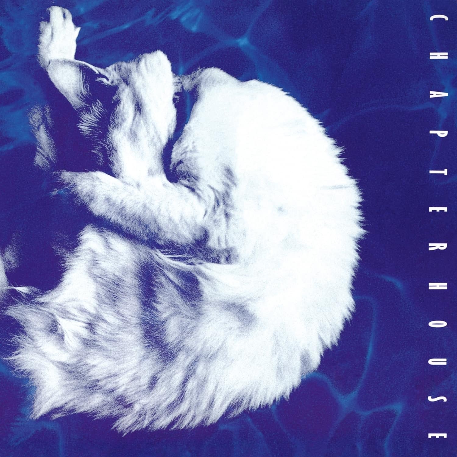 Chapterhouse - WHIRLPOOL 