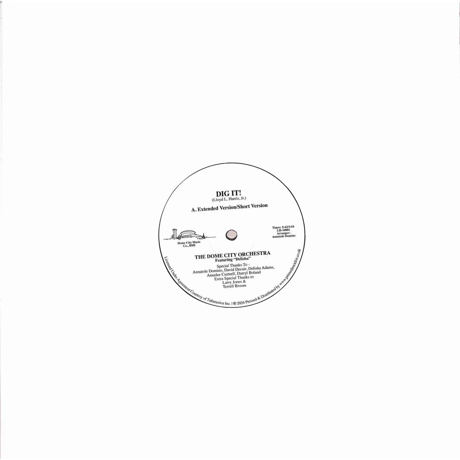 The Dome City Orchestra - DIG IT!