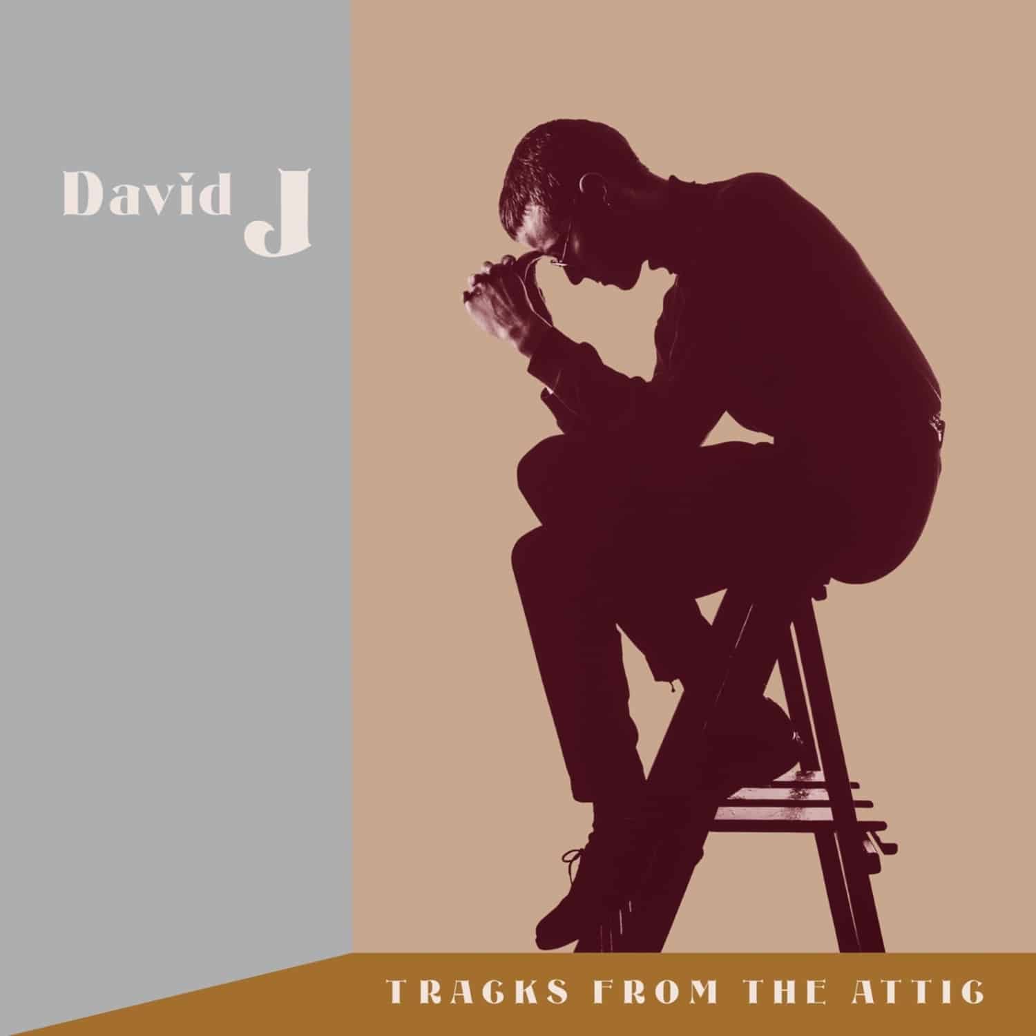 David J - TRACKS FROM THE ATTIC 