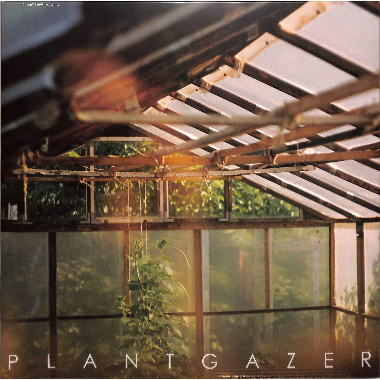 Show Me A Dinosaur - PLANTGAZER 