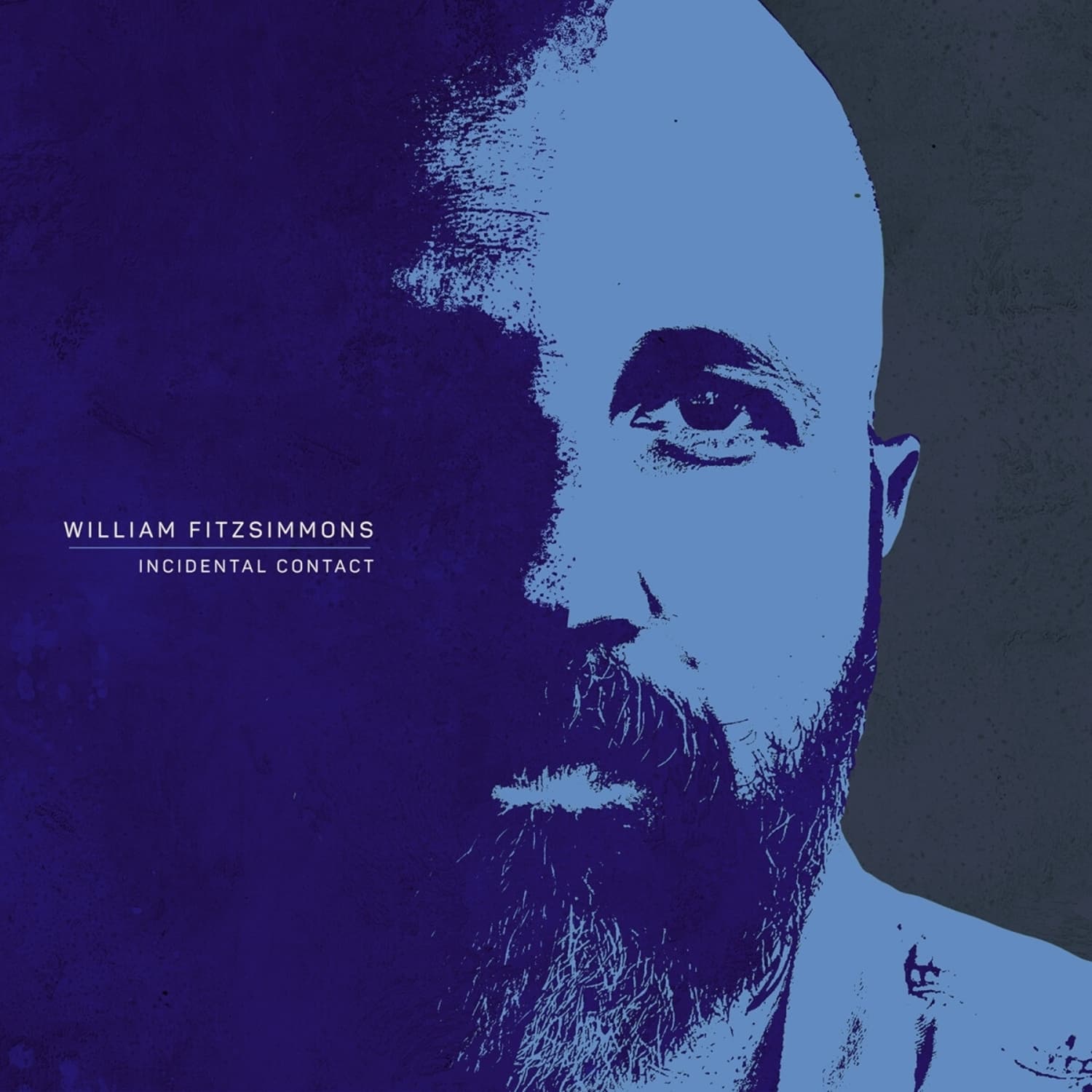 William Fitzsimmons - INCIDENTAL CONTACT 