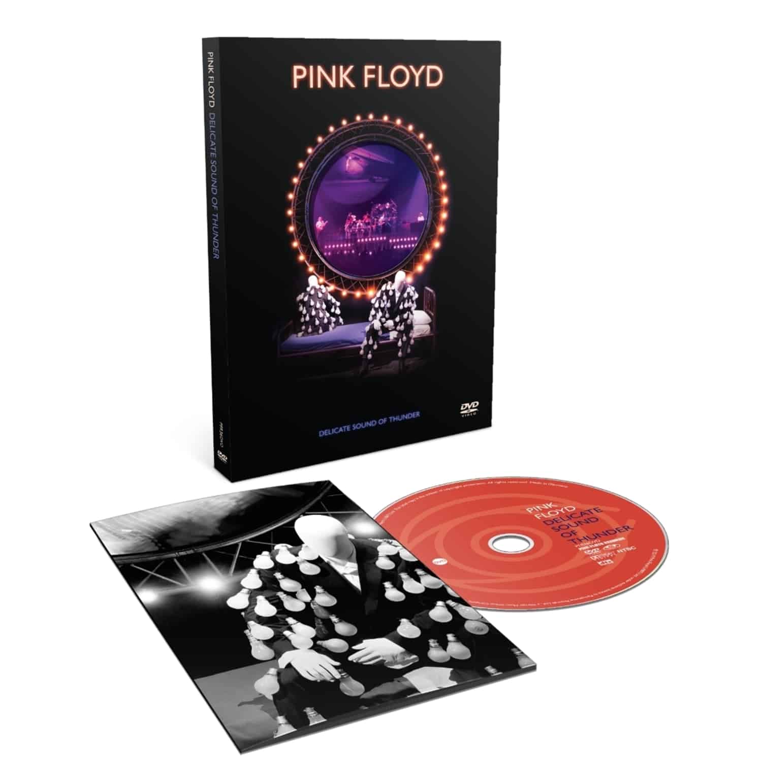 Delicate Sound Of Thunder  - PINK FLOYD