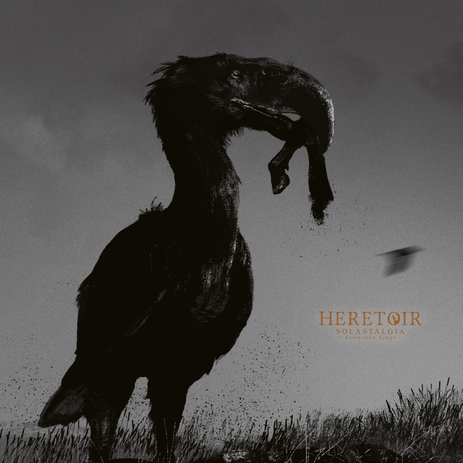 Heretoir - SOLASTALGIA 